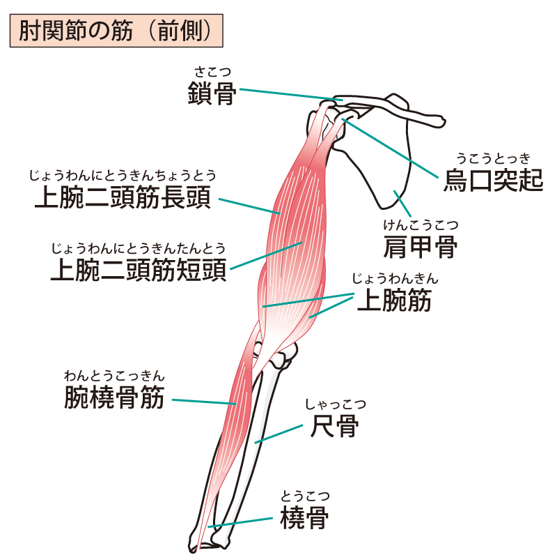 画像に alt 属性が指定されていません。ファイル名: 786611.jpg