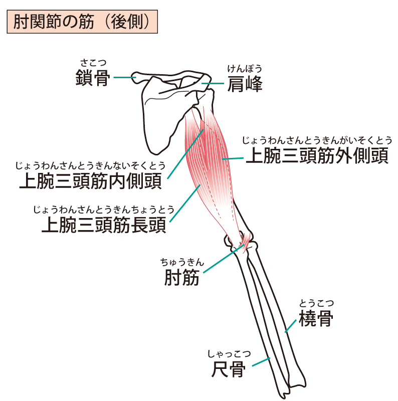 画像に alt 属性が指定されていません。ファイル名: 786929.jpg